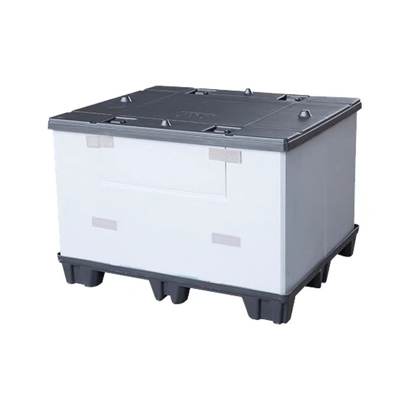 Scatola pallet in blister