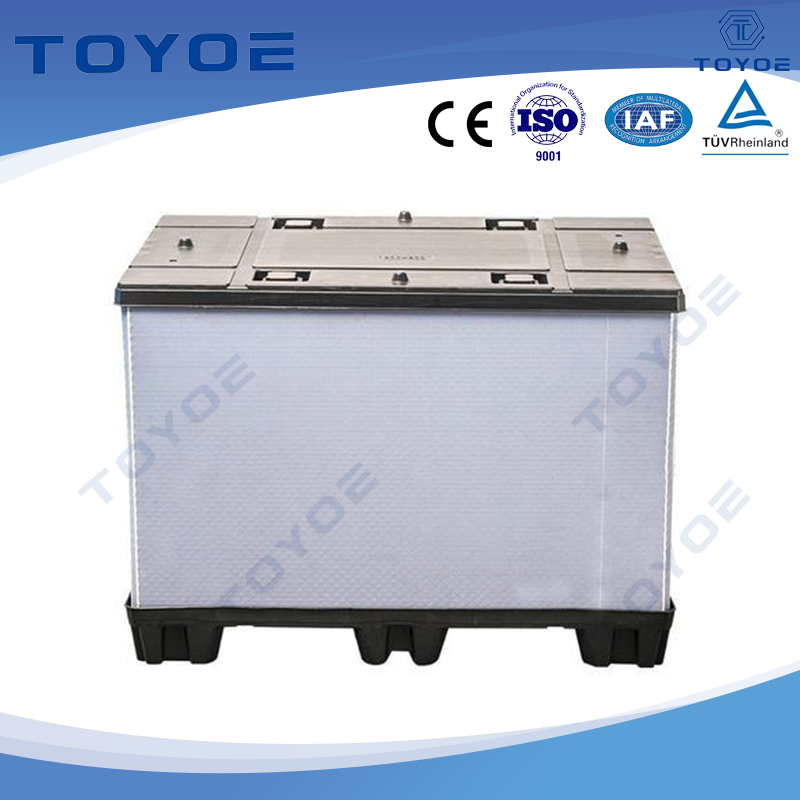 PP Box in plastica per la scheda a nido d'ape, appositamente importato per la conservazione della gomma russa